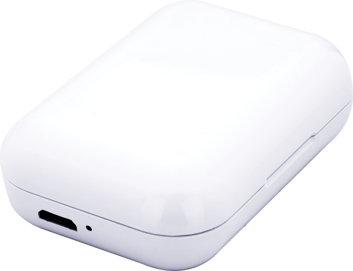 White Forte TWS Wireless Earbuds and Charger Case plain