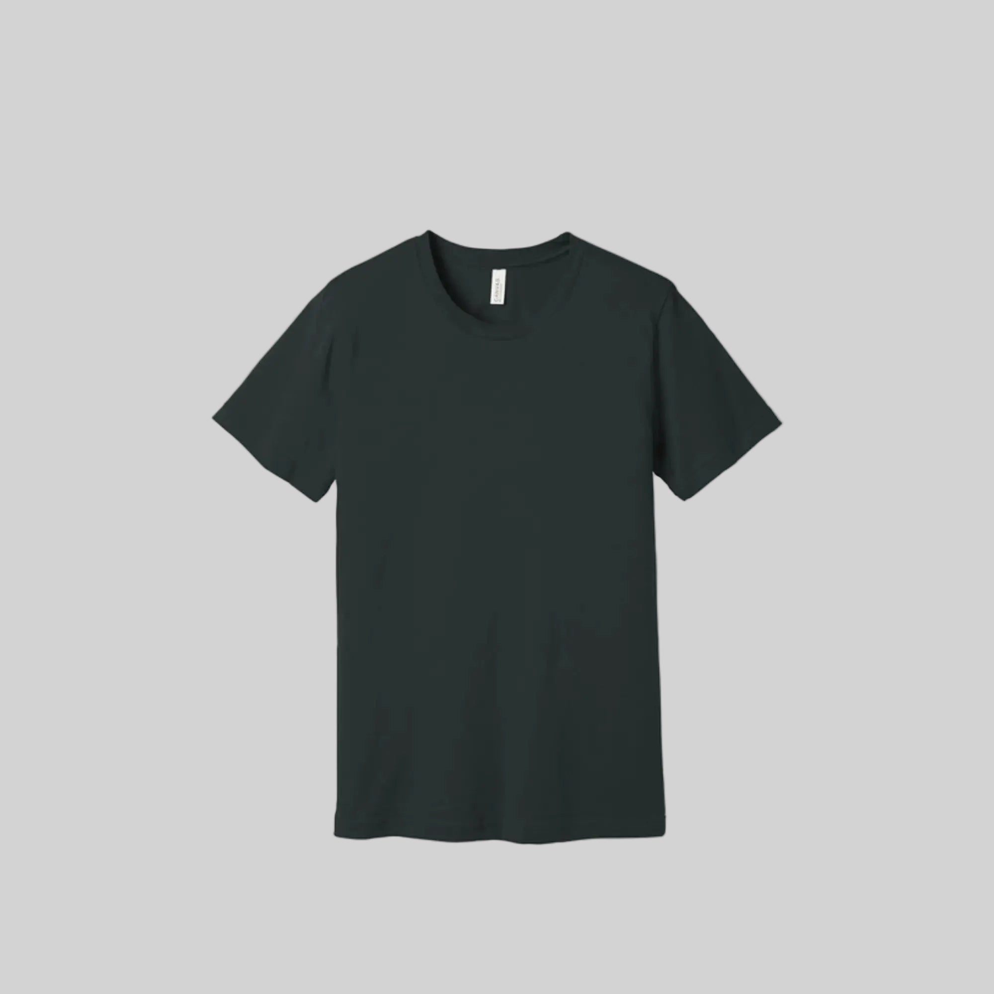Bella Canvas 3001 Airlume Cotton Unisex T-Shirt