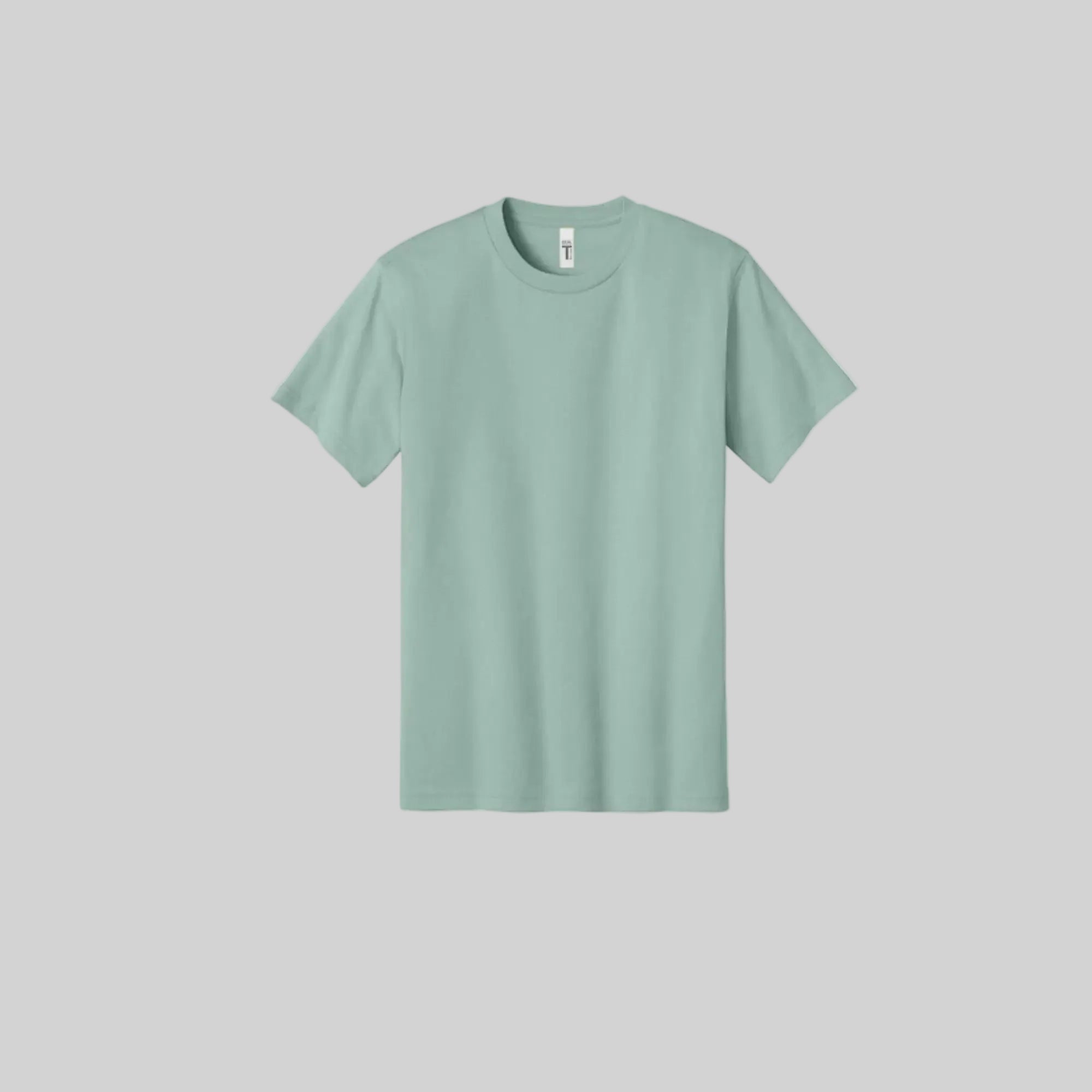 Next Level 3600 Ring Spun Cotton Crew Neck T-Shirt