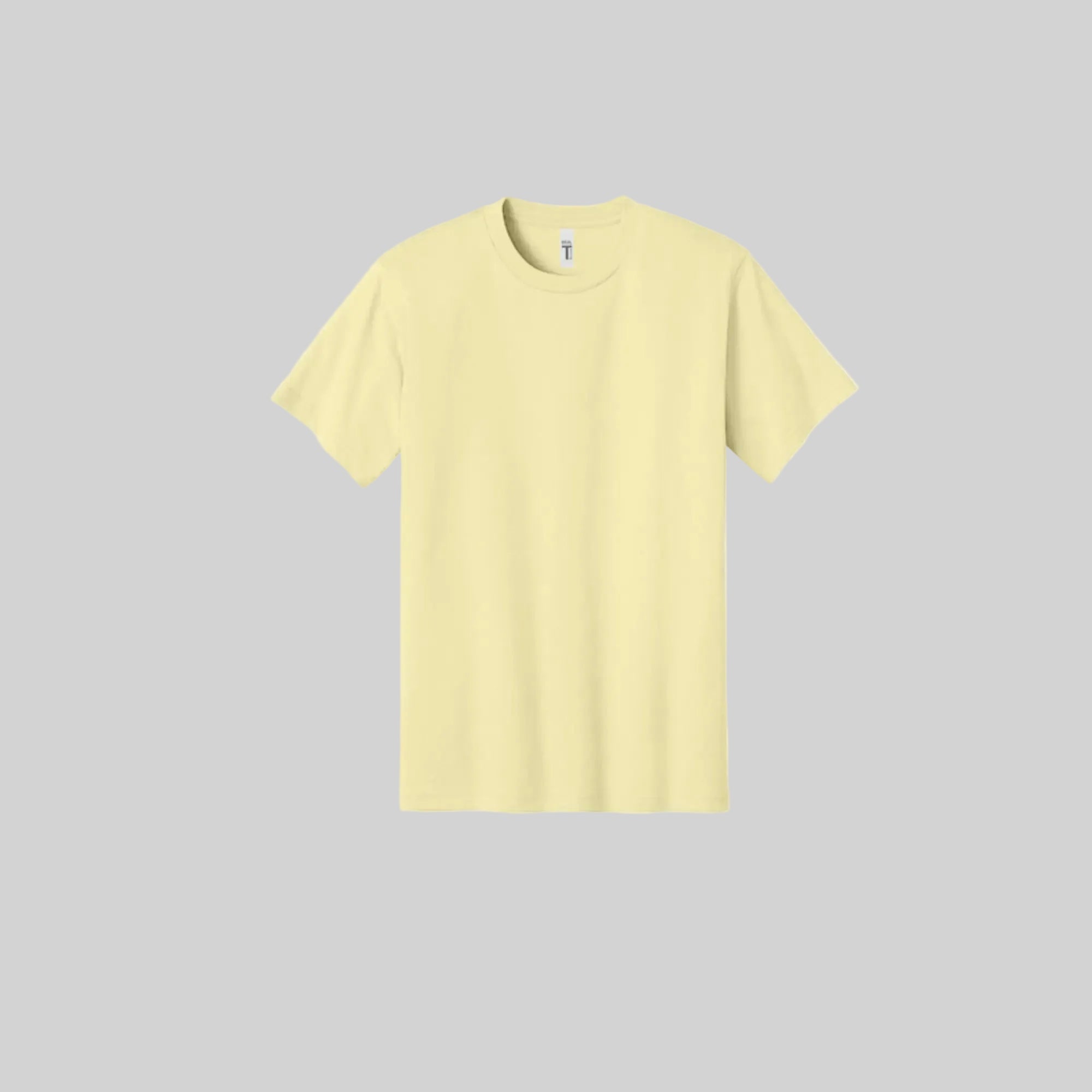 Next Level 3600 100% Cotton T-Shirt