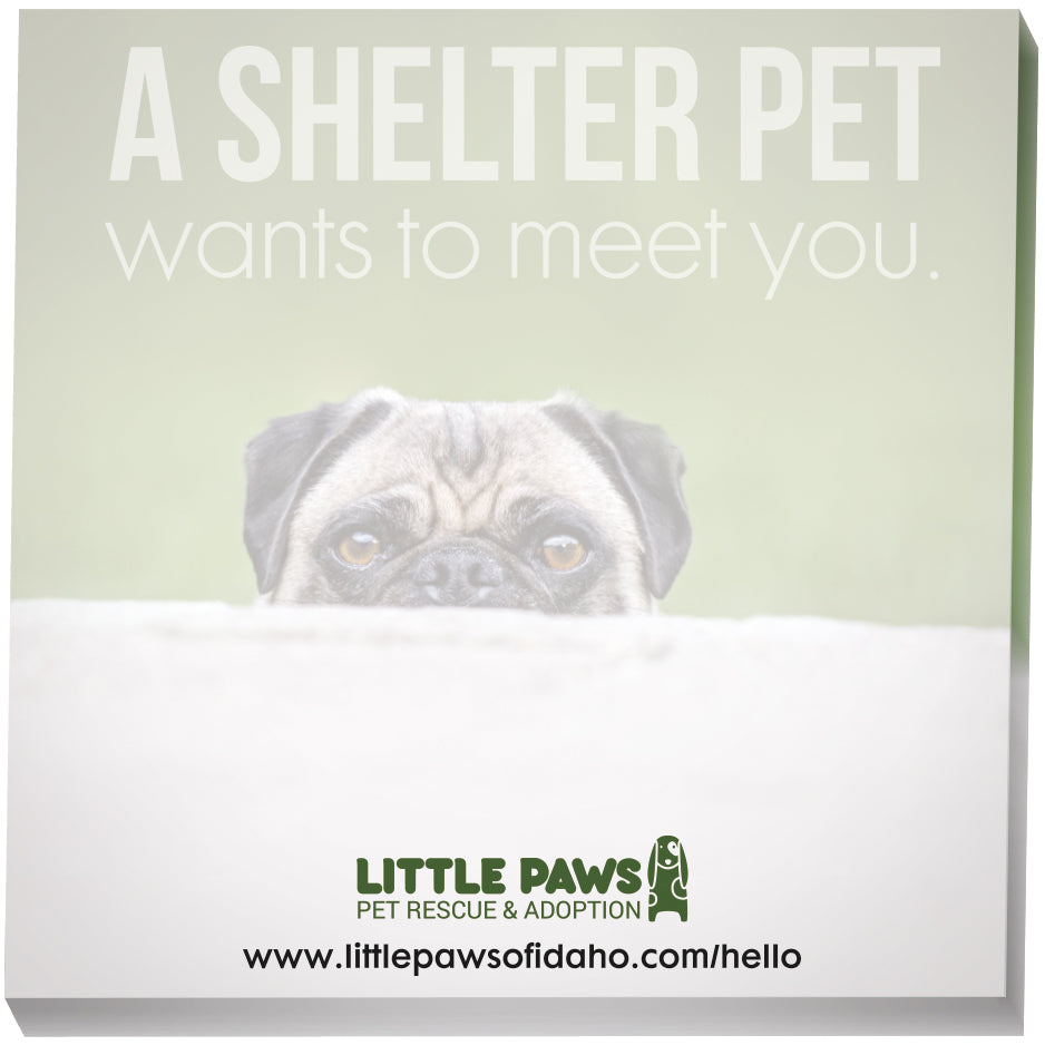 Front View of  Souvenir® Sticky Note™ 3" x 3" Pad, 50 sheet